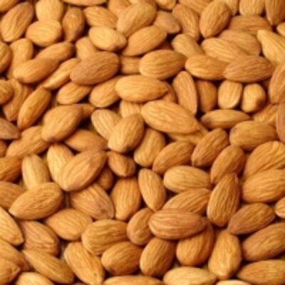 resources of 100% Grade A High Nutritious Almond Nuts exporters