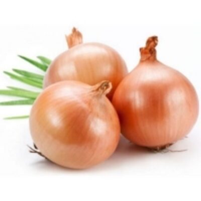 resources of Fresh Onions exporters