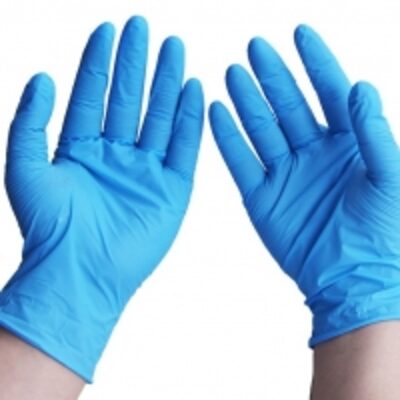 resources of Nitrile Gloves Powder Free exporters