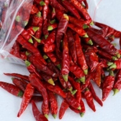 resources of Chilli exporters