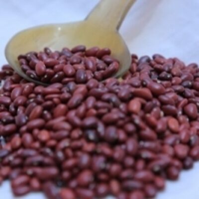 resources of Red Kidney Beans exporters