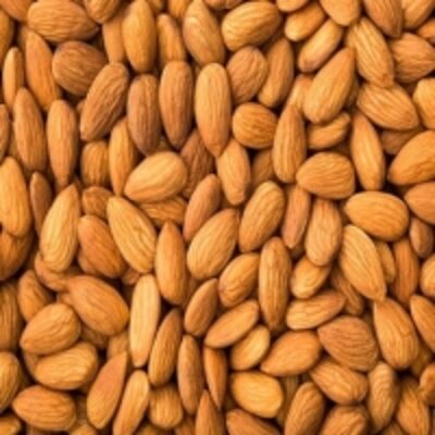 resources of Almond Nuts/california Almond Nuts exporters
