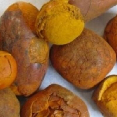 resources of Cow/ox Natural Gallstones exporters