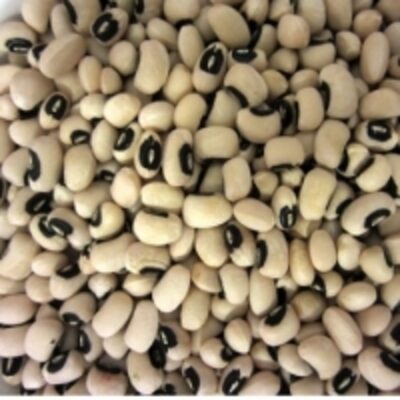 resources of High Quality Black Eye Beans exporters