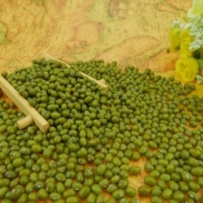 resources of Canadian Origin Green Mung Beans exporters