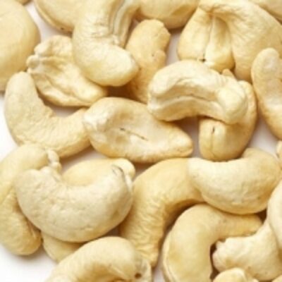 resources of Cashew Nuts W180,w240,w320 exporters