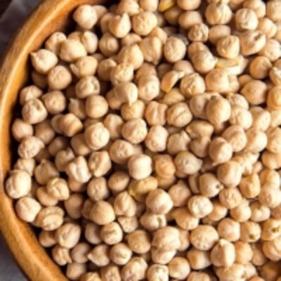 resources of High Chickpeas exporters