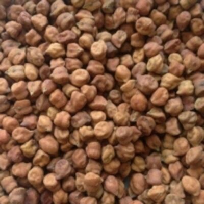 resources of High Quality Desi Chickpeas exporters