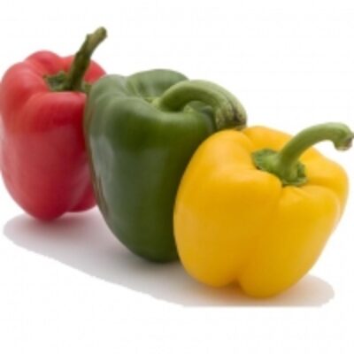 resources of Fresh Capsicums/bell Pepper/green/red Bell Peppe exporters