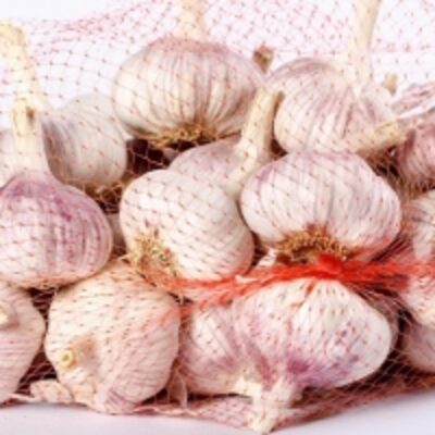 resources of Purple White Garlic Bulk Garlic exporters
