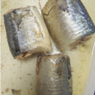 resources of Canned Fish Canned Mackerel In Brine exporters