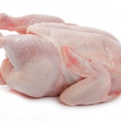 resources of Whole Frozen Chicken exporters