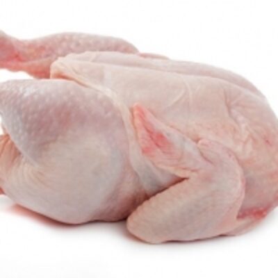 resources of Halal Whole Frozen Chicken exporters