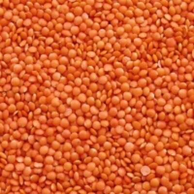 resources of Canadian Origin Green And Red Lentils exporters