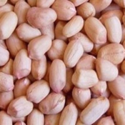 resources of High Quality Peanuts exporters
