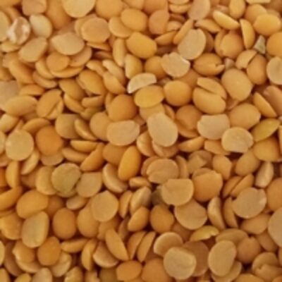 resources of Split Pigeon Peas/toor Dal exporters