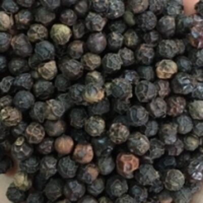 resources of Wholesale Bulk Black Spices Black Pepper exporters