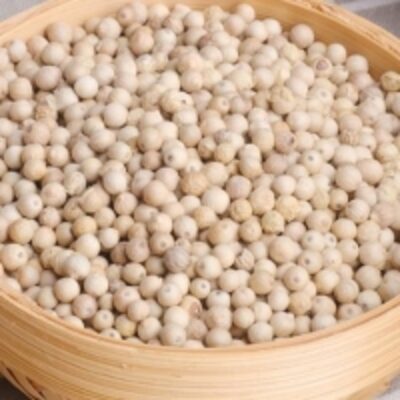 resources of Wholesale Resonable Price Spice White Pepper exporters