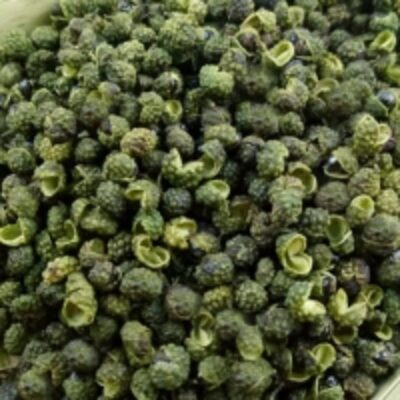 resources of Green Pepper The Best Food Seasoning exporters