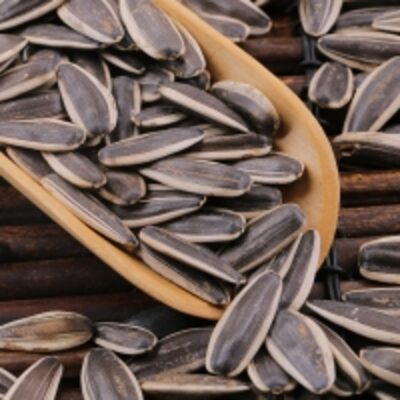 resources of High Sunflower Seeds exporters