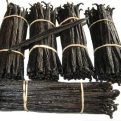 resources of Organic Bourbon Real Vanilla Beans exporters