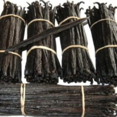 resources of Madagascar Origin Vanilla Beans exporters