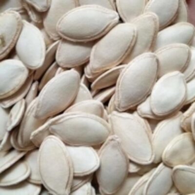 resources of High Quality Pumpkin Seeds exporters