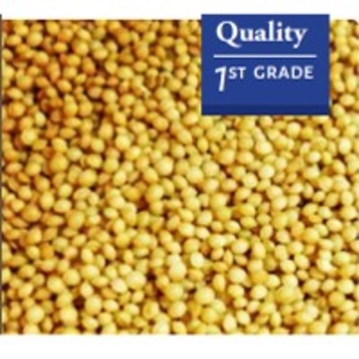 resources of Amaranth Seeds exporters