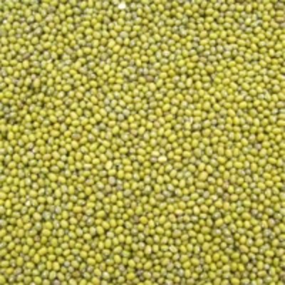 resources of Mung Beans exporters