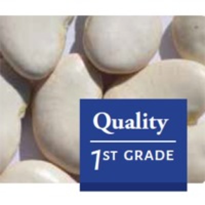 resources of White Lima Beans exporters