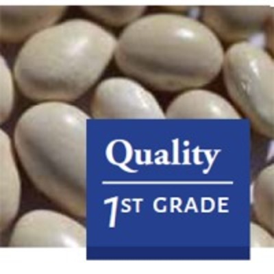 resources of Oval White Beans exporters