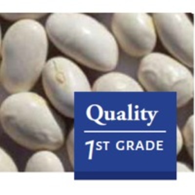 resources of Imperio Round Beans exporters