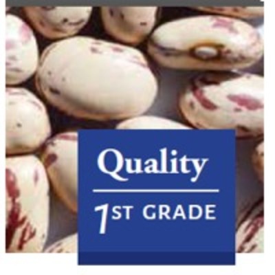 resources of Cranberry Beans exporters