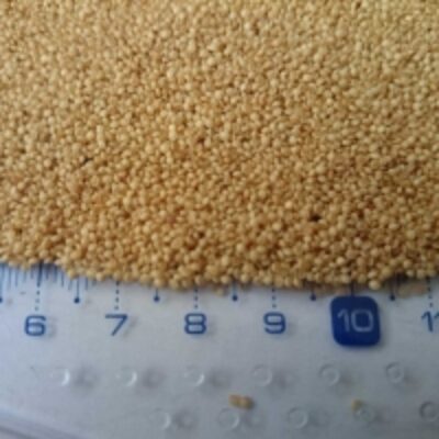 resources of Amaranth Grains exporters