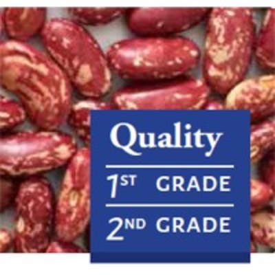resources of Red Speckled Kidney Beans exporters