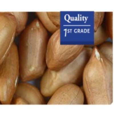 resources of Raw Peanuts exporters