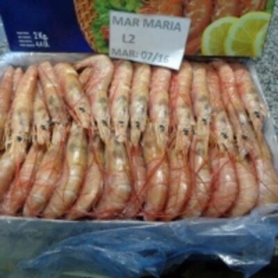 resources of Red Shrimp exporters