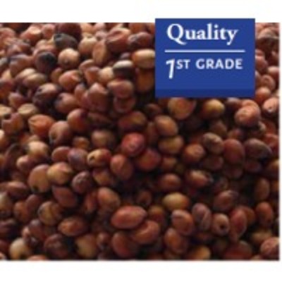 resources of Red Sorghum exporters