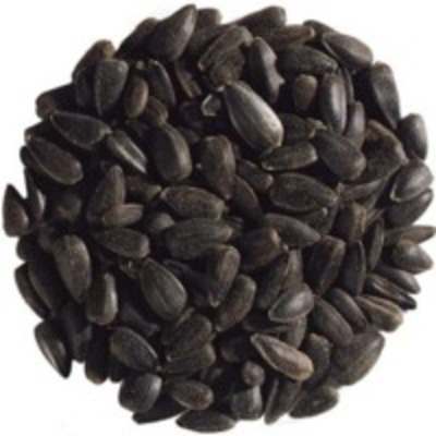 resources of Black Sunflower Seed exporters