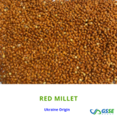 resources of Red Millet exporters