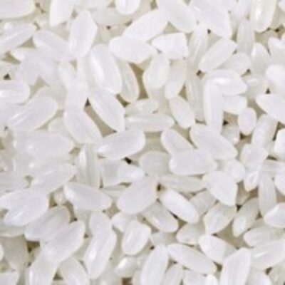resources of Zeera Rice exporters
