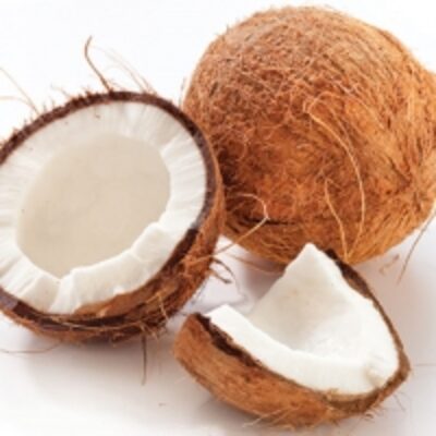 Coconut Exporters, Wholesaler & Manufacturer | Globaltradeplaza.com