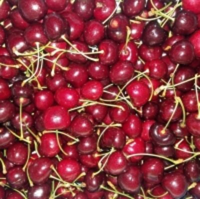 resources of Fresh Cherries exporters