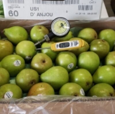 resources of Pears exporters