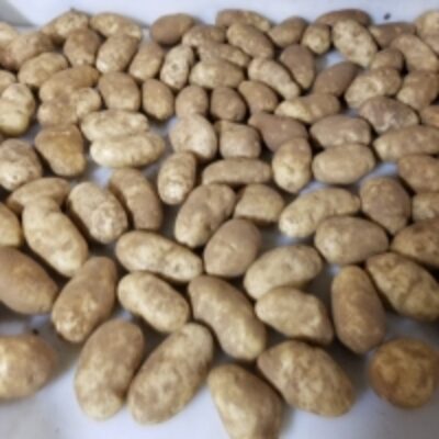 resources of Fresh Potatoes exporters