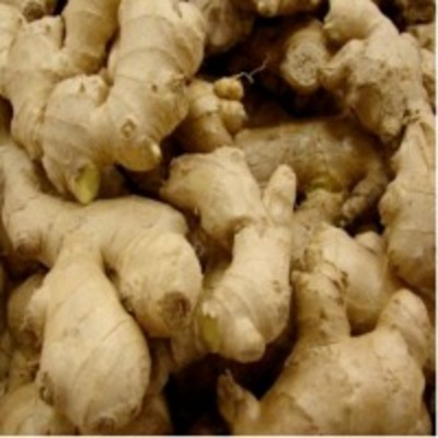 resources of Dry Ginger exporters