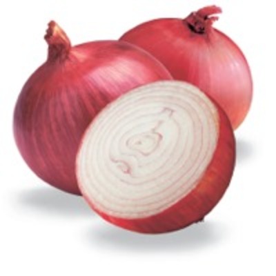 resources of Onion Oleoresin exporters