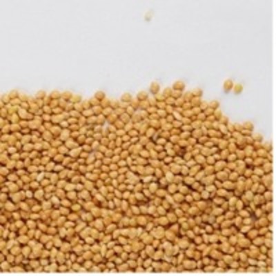resources of Yellow Millets exporters
