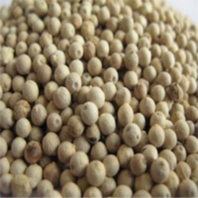 resources of White Pepper exporters