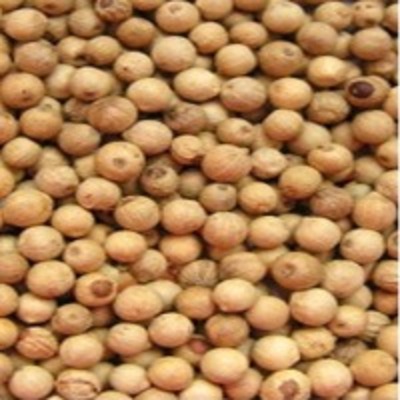 resources of White Pepper Oleoresin exporters